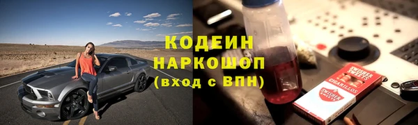 хмурый Мегион