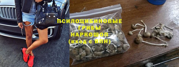 спиды Медногорск