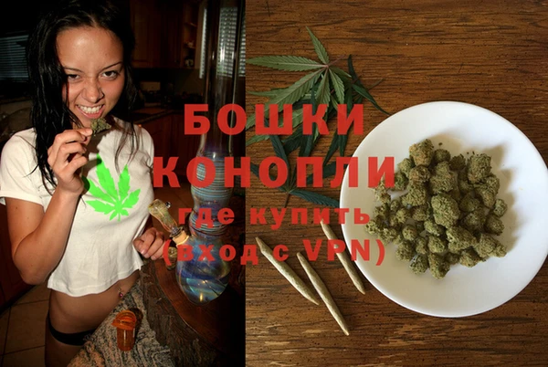 хмурый Мегион