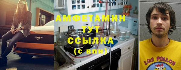 хмурый Мегион