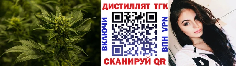 Купить закладки  Кедровый  Дистиллят ТГК концентрат 